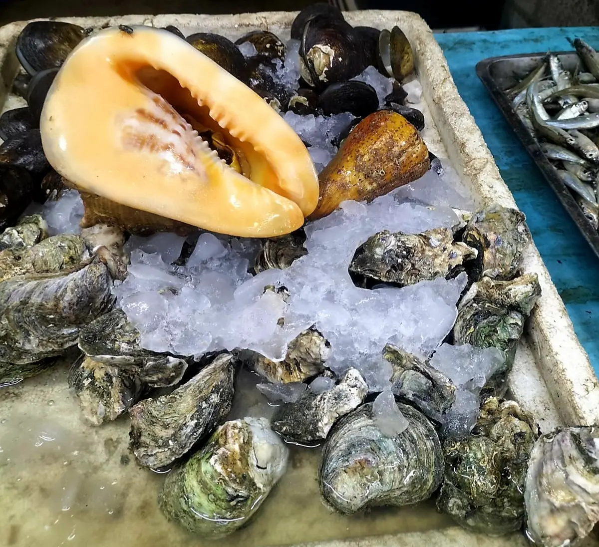 food oysters